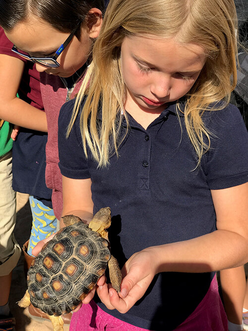 AmeriSchools Yuma North bowling farm girl with turtle